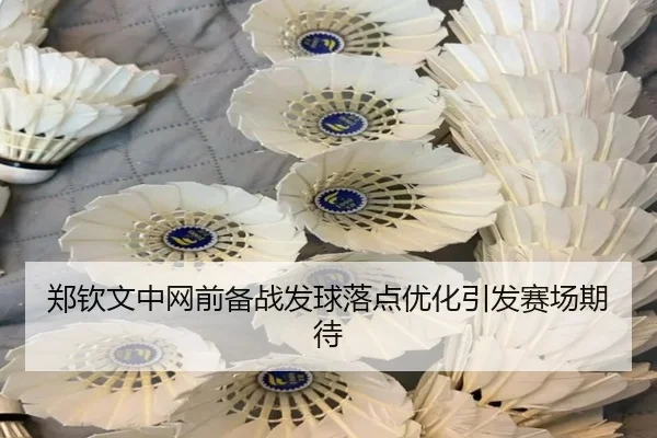 郑钦文中网前备战发球落点优化引发赛场期待